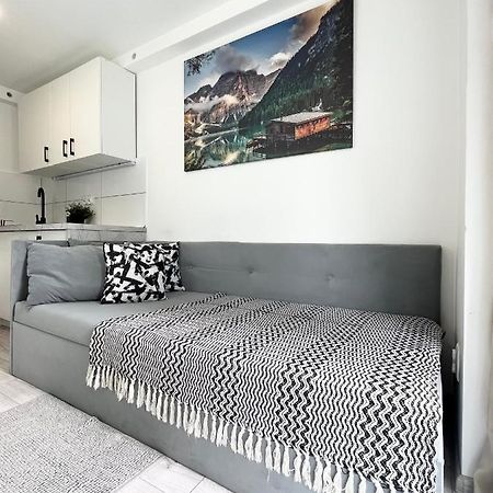 Apartament Goplanska Free Parking Self Check-In 24H Posen Exterior foto